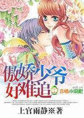 傲娇少爷好难追