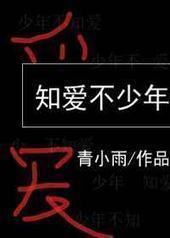 知爱不少年 完结+番外