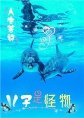 �����ǹ���