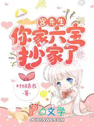 宫先生,你家六宝抄家了 宫先生,你家六宝抄家了