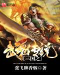 三国之武魂传说 三国之武魂传说