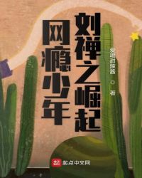 网瘾少年刘禅之崛起 网瘾少年刘禅之崛起