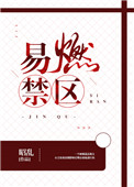 易燃禁区 易燃禁区