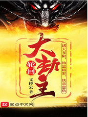 轮回大劫主 轮回大劫主