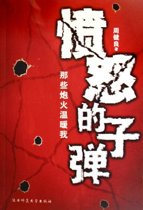 愤怒的子弹 愤怒的子弹