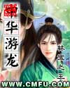 中华游龙 中华游龙
