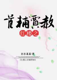 红楼之首辅贾赦 红楼之首辅贾赦