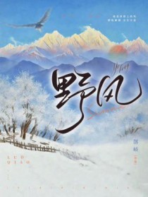野风 野风