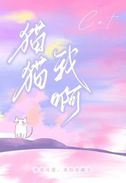 猫猫我啊 猫猫我啊