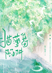 猫薄荷陷阱 猫薄荷陷阱