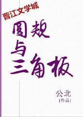 圆规与三角板 圆规与三角板