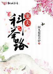 宠夫科举路 宠夫科举路