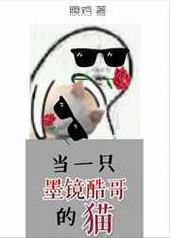 当一只墨镜酷哥的猫 当一只墨镜酷哥的猫
