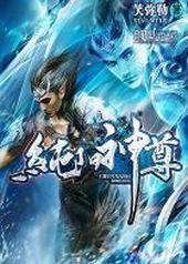 纯阳神尊 纯阳神尊