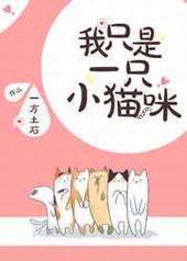 ��ֻ��һֻСè��