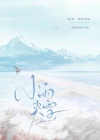 小雨夹雪 小雨夹雪