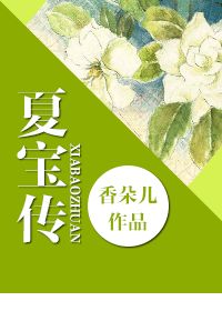 夏宝传 夏宝传