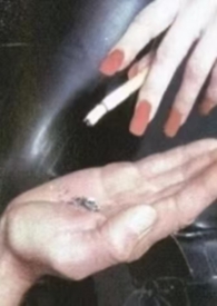 失调甜(姐弟骨,高H) 失调甜(姐弟骨,高H)