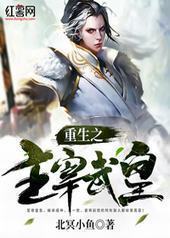 重生之主宰武皇 重生之主宰武皇