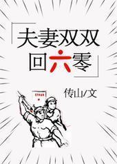 夫妻双双回六零 夫妻双双回六零