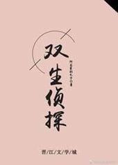 双生侦探 双生侦探