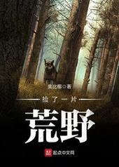 捡了一片荒野 捡了一片荒野