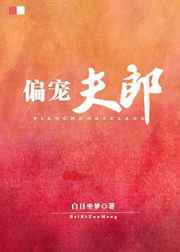 偏宠夫郎 完结+番外 偏宠夫郎 完结+番外