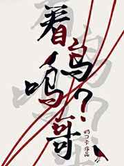 看鸟吗哥 看鸟吗哥