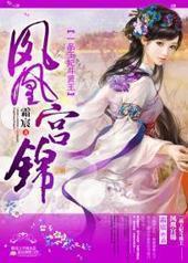 一品王妃斗贤王:凤凰宫锦