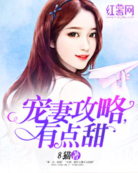 宠妻攻略,有点甜 宠妻攻略,有点甜