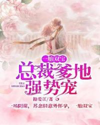 一胎双宝:总裁爹地强势宠 一胎双宝:总裁爹地强势宠