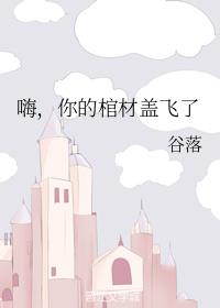 嗨,你的棺材盖飞了 嗨,你的棺材盖飞了