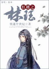 红楼之林珏 红楼之林珏