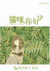 猫咪,你好 猫咪,你好