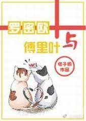 罗密欧与傅里叶 罗密欧与傅里叶