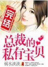 总裁的私有宝贝