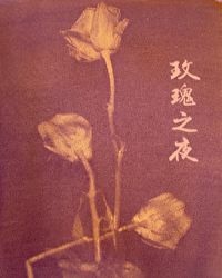 玫瑰之夜 玫瑰之夜