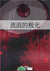 流浪的极光 流浪的极光