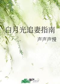 白月光追妻指南 白月光追妻指南