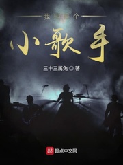 我只是个小歌手 我只是个小歌手