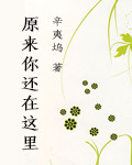 原来你还在这里 原来你还在这里