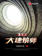 重生之大建筑师 重生之大建筑师