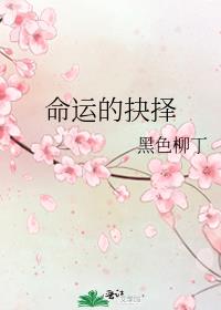 命运的抉择 命运的抉择