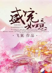 盛宠如意 盛宠如意