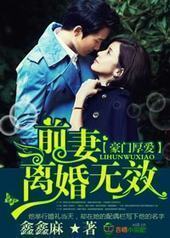 安之若素,前妻离婚无效