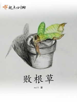 败根草 败根草
