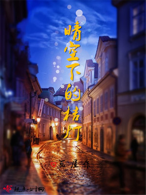 晴空下的桔灯 晴空下的桔灯