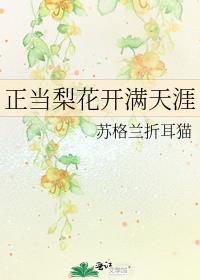 正当梨花开满天涯 正当梨花开满天涯