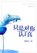 只是对你认了真 只是对你认了真