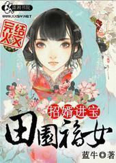 田园福女之招婿进宝